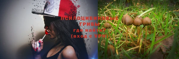твердый Заводоуковск