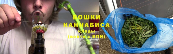 твердый Заводоуковск