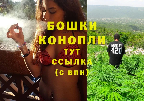 твердый Заводоуковск
