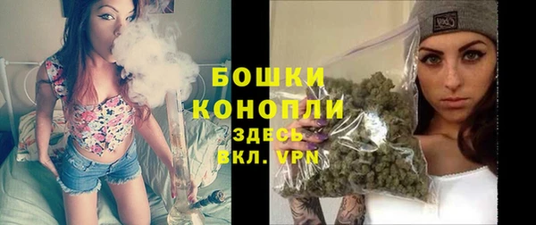 твердый Заводоуковск
