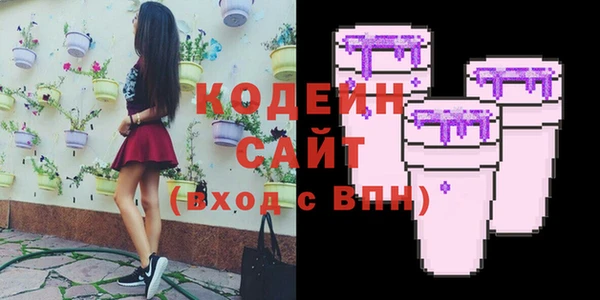 твердый Заводоуковск